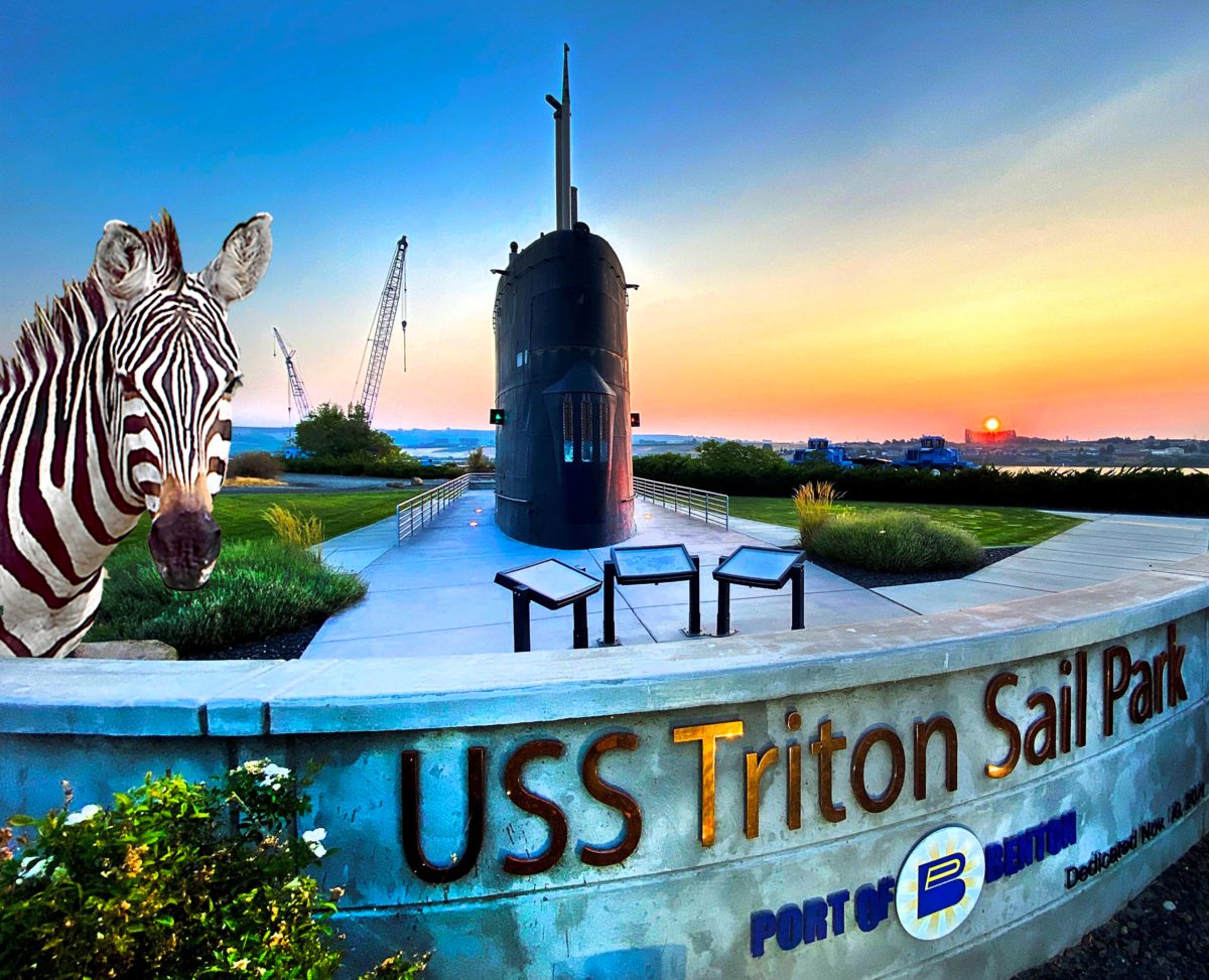 Elusive Zebra Spotted at Port's USS Triton Sail Park Before Capture