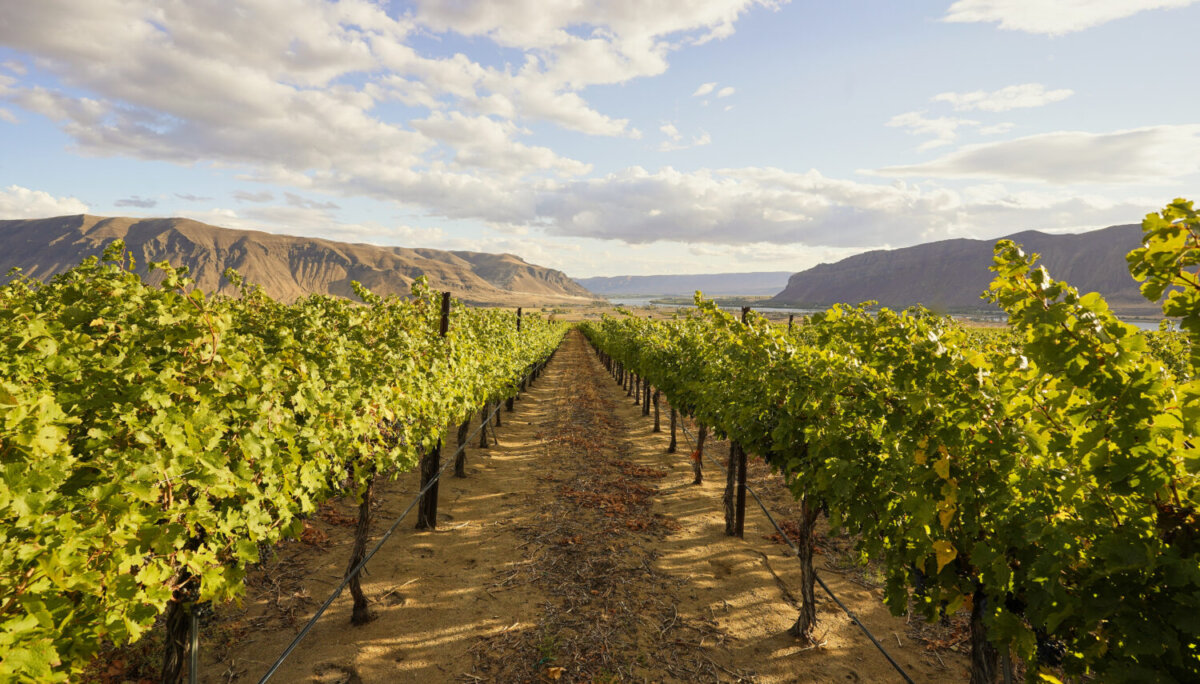  Washington Welcomes 21st American Viticultural Area